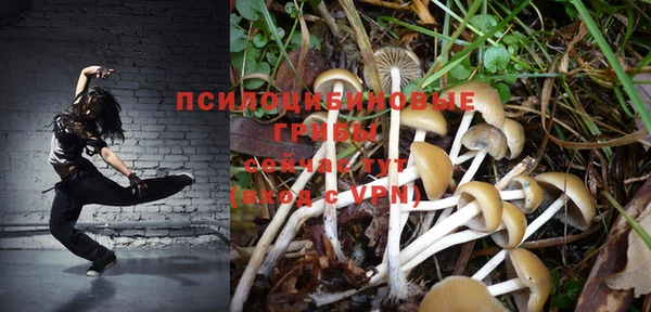 бошки Богородск