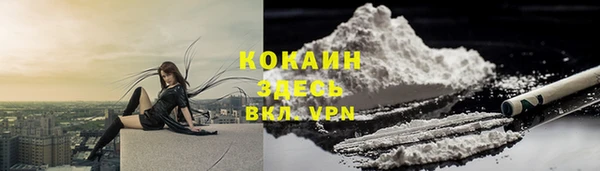 не бодяженный Богданович
