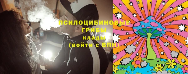 не бодяженный Богданович