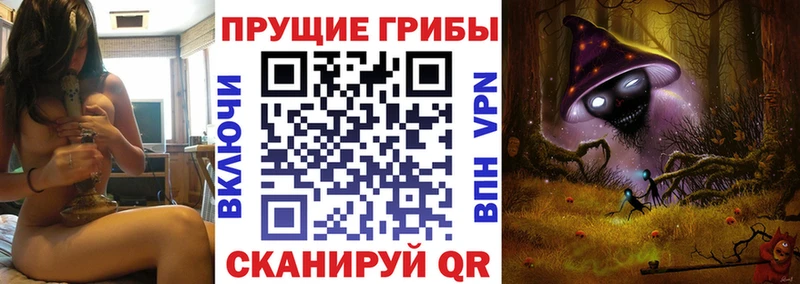 хочу Ковдор Псилоцибиновые грибы мицелий